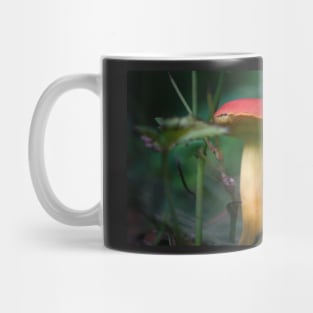 Red Capped Mushroom Mug